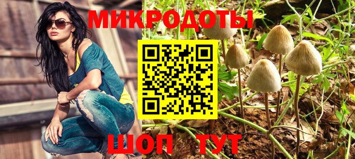 Псилоцибиновые грибы мицелий  Вход с VPN  Псилоцибиновые грибы мицелий  Лесной 